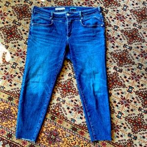 Pilcro and the Letter Press - Anthropogie Jeans Size 18